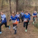 Lees meer over het artikel Nieuwsflits december 2025